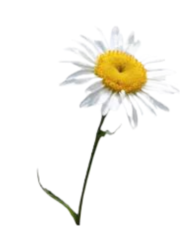 222images-fotor-bg-remover-20250613103346 (396x500, 102Kb)