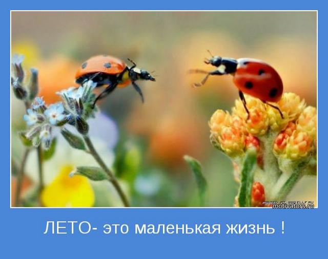 4743317_motivator18250 (640x506, 34Kb)