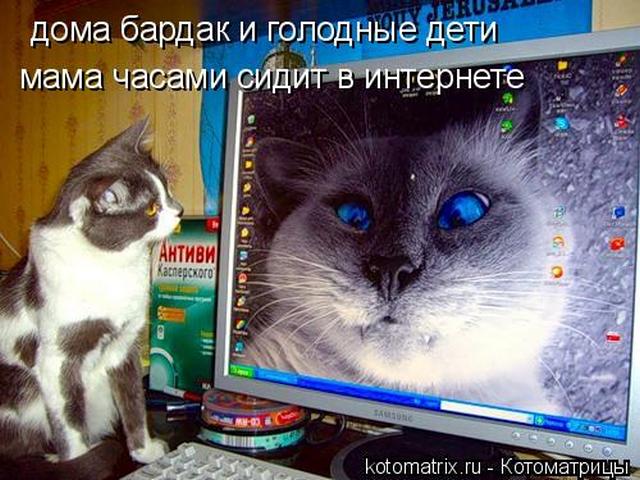 4743317_Jx (640x480, 65Kb)