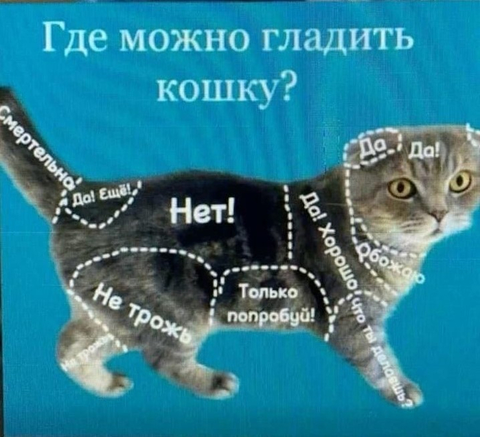 vwvsbS_-C1tV_OIFLqVJY8YnM_zml4Ub_QTq0eZSQ0s5V14JYmf4MfaeZ0pxlSWl21WIJETgTrec5RNY_WmUVbHv (700x636, 380Kb)