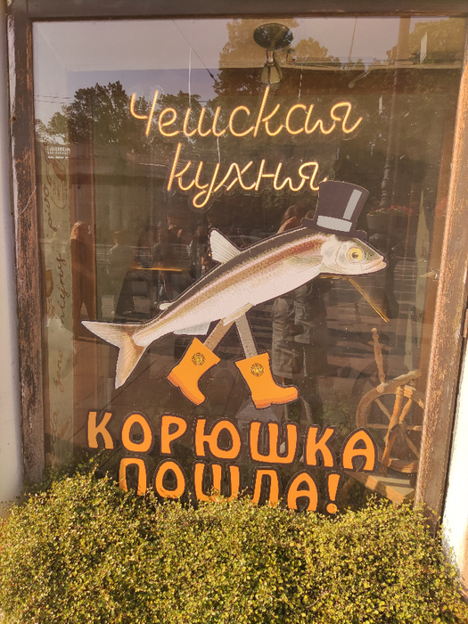 IMG_20250615_173750 (525x700, 561Kb)