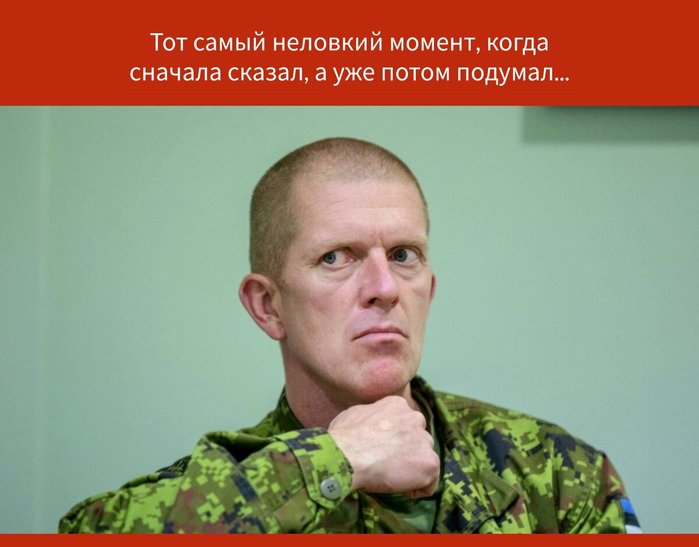 Эстония (1) (700x547, 49Kb)