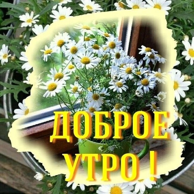 2835299_650_ytro (650x650, 145Kb)