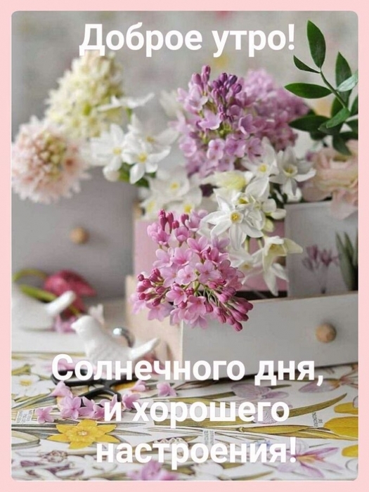 2835299_680_960 (525x700, 231Kb)