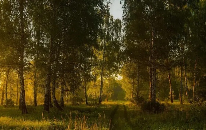 вечер в лему. (700x441, 140Kb)