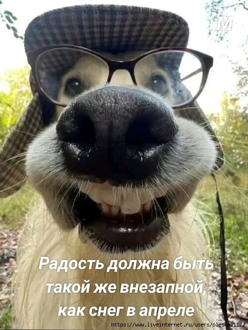 3019665630 (500x666, 185Kb)