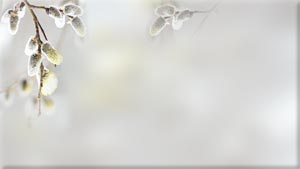 22 (300x169, 4Kb)