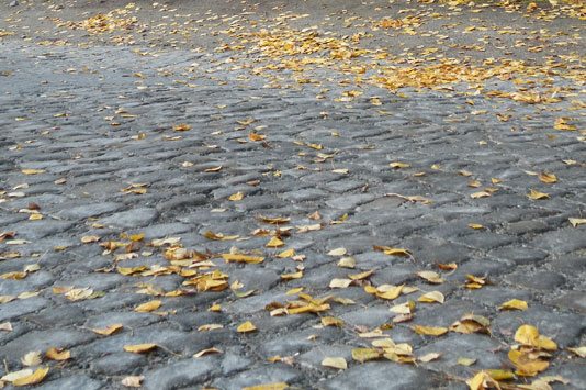 4397599_0021 (534x355, 61Kb)