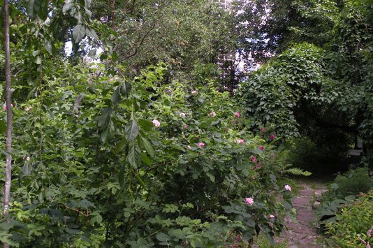 4397599_0061 (534x355, 69Kb)