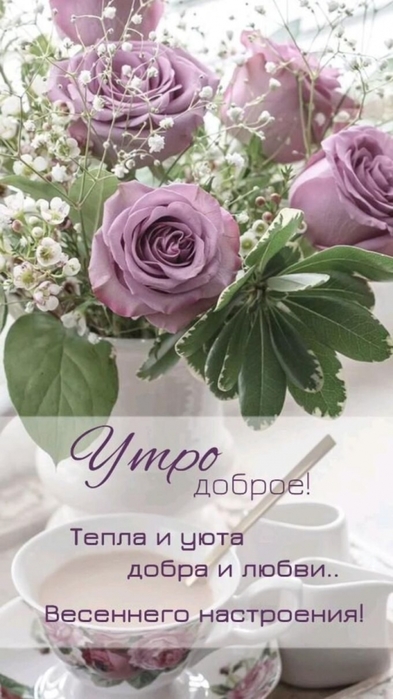 2835299_62f3c34e342980cd19963d7e2ff4e0a7 (393x700, 190Kb)