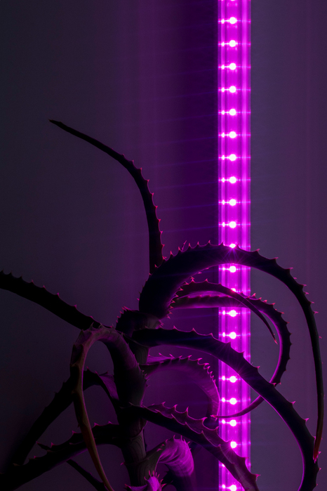 2055584 (466x700, 219Kb)