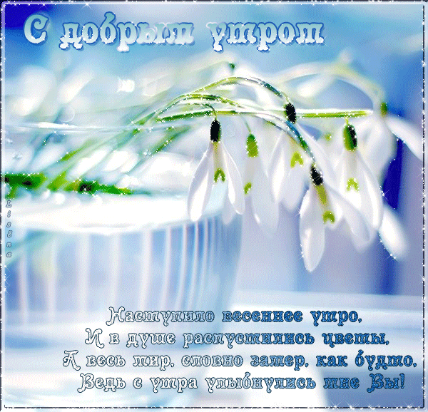 4743317_i31585 (600x578, 598Kb)