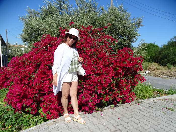 DSC00182 (700x525, 628Kb)