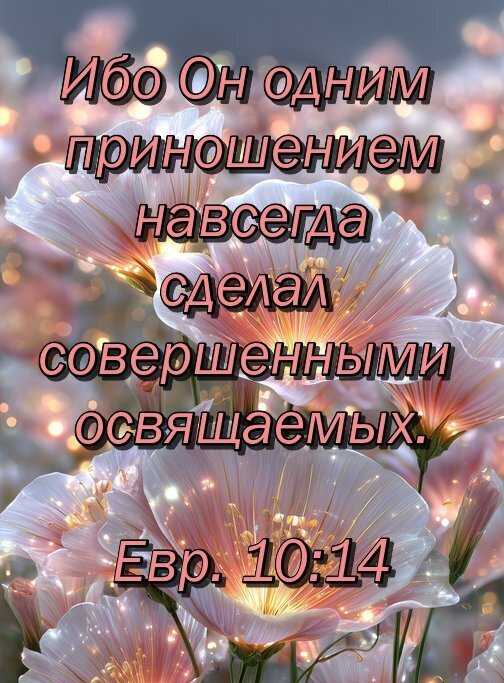 cnIM1HyGcz6r (504x683, 104Kb)