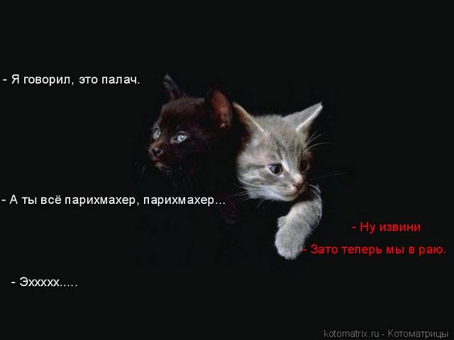 4743317_SN (640x480, 16Kb)