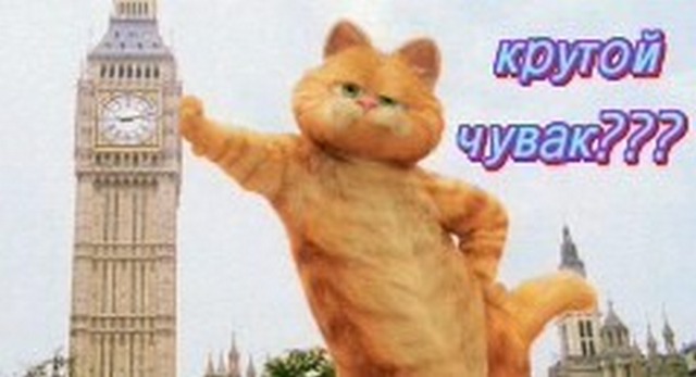 4743317_i8564 (640x347, 43Kb)