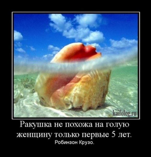 4743317_1255414973_145 (640x666, 54Kb)
