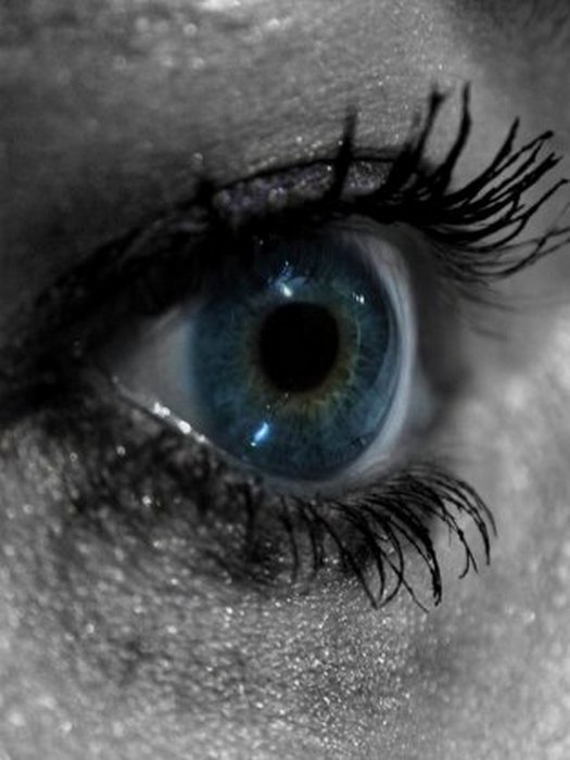 4743317_1142679201_20 (525x700, 49Kb)