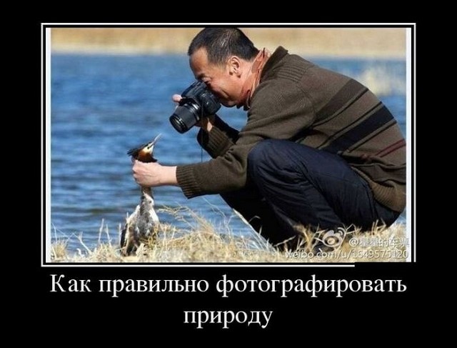 4743317_image_4 (640x487, 61Kb)