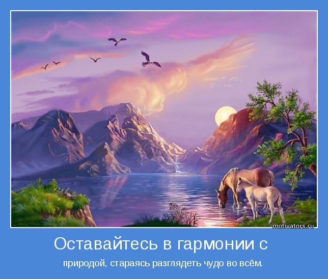 4743317_motivator49713 (644x548, 47Kb)