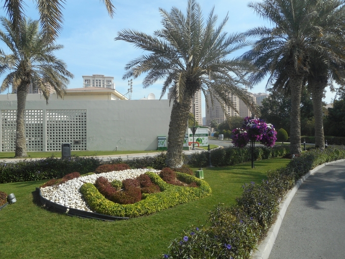 4878453_ttDSCN0320 (700x525, 340Kb)