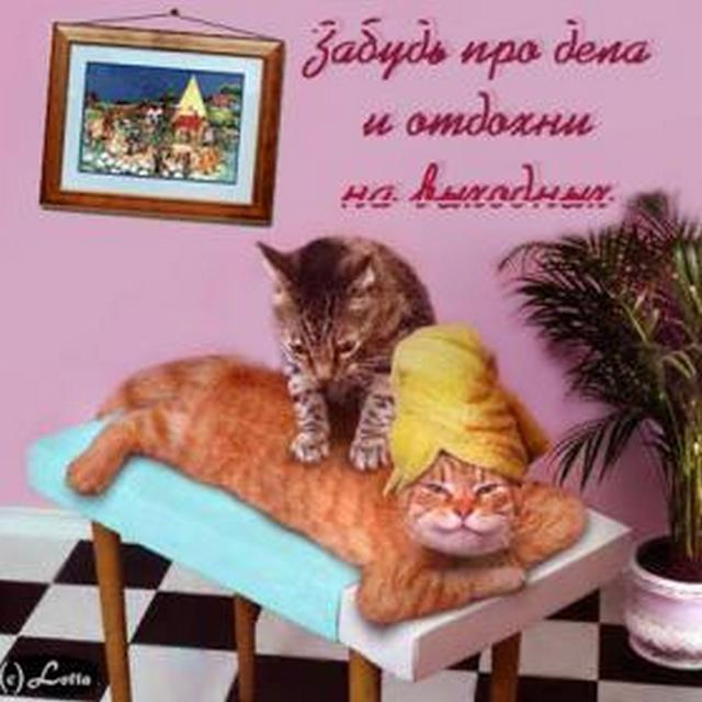 4743317_i8568 (640x640, 48Kb)