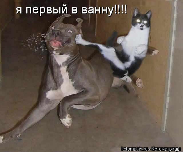 4743317_a (640x531, 29Kb)