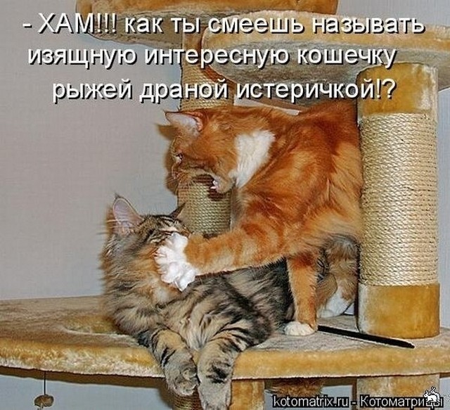 4743317_i24223 (640x583, 122Kb)