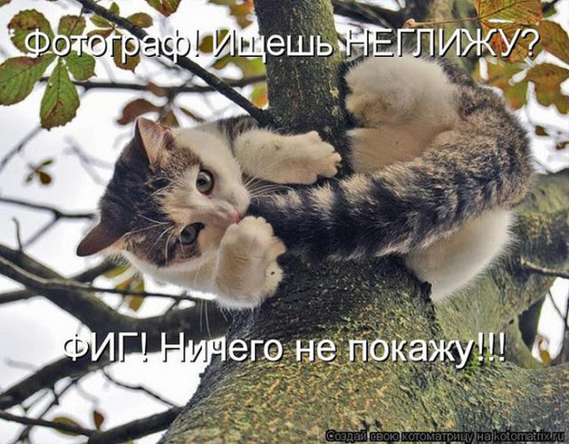 4743317_i24220 (640x499, 129Kb)