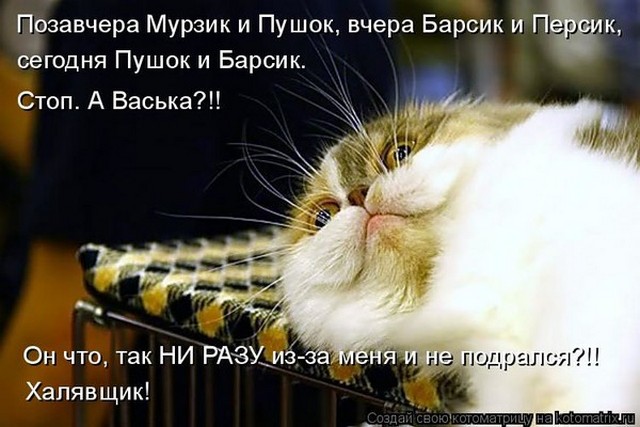 4743317_i24222 (640x427, 70Kb)
