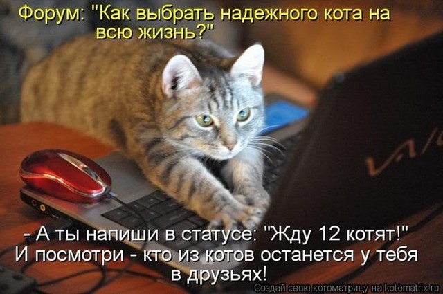 4743317_i24218 (640x425, 72Kb)