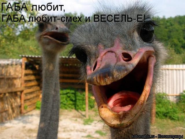 4743317_YN (640x480, 51Kb)