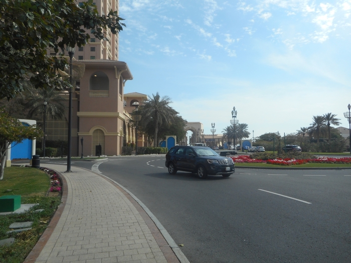 4878453_ttDSCN0380 (700x525, 255Kb)