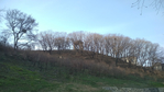  6688dd7a-d9f6-4e61-944d-87979399df77 (700x393, 269Kb)