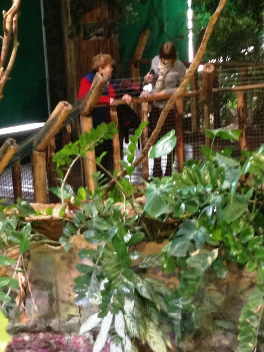 IMG_0093 (525x700, 470Kb)