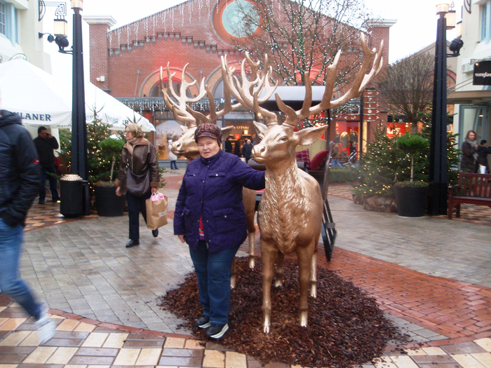 P1020280 (700x525, 531Kb)