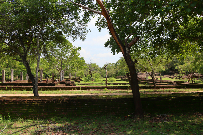 IMG_1901 (700x467, 594Kb)