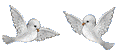 3906024_73833376_3052666_tier_vogelinsieme_1_ (122x51, 3Kb)