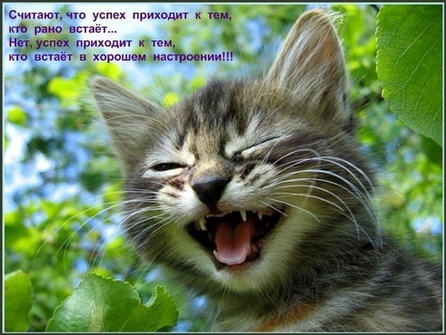 4743317_8ECYSPEH_NOV_SROChNO (640x481, 94Kb)
