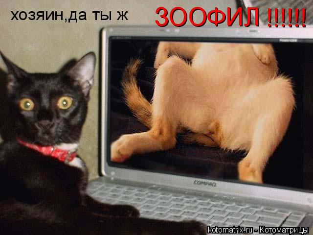 4743317_dY (640x480, 41Kb)