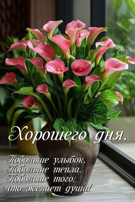 IMG-20250415-WA0004
