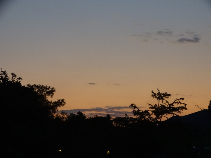 DSC00410 (700x525, 213Kb)