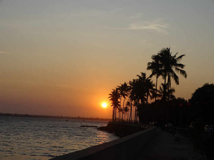 DSC00728 (700x525, 292Kb)