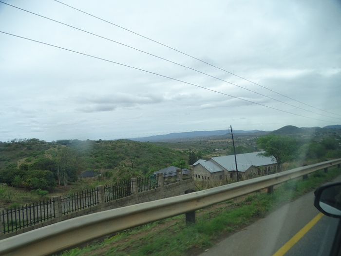 DSC00991 (700x525, 296Kb)