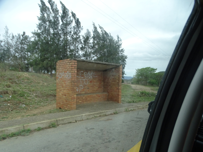 DSC00993 (700x525, 347Kb)