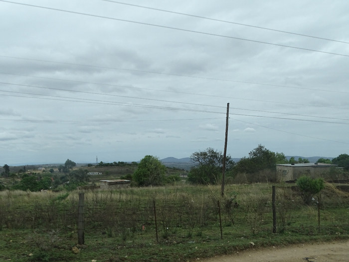 DSC00995 (700x525, 296Kb)