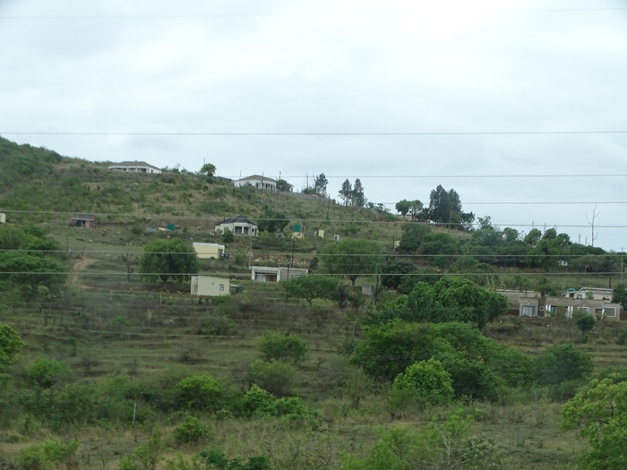 DSC00997 (700x525, 322Kb)