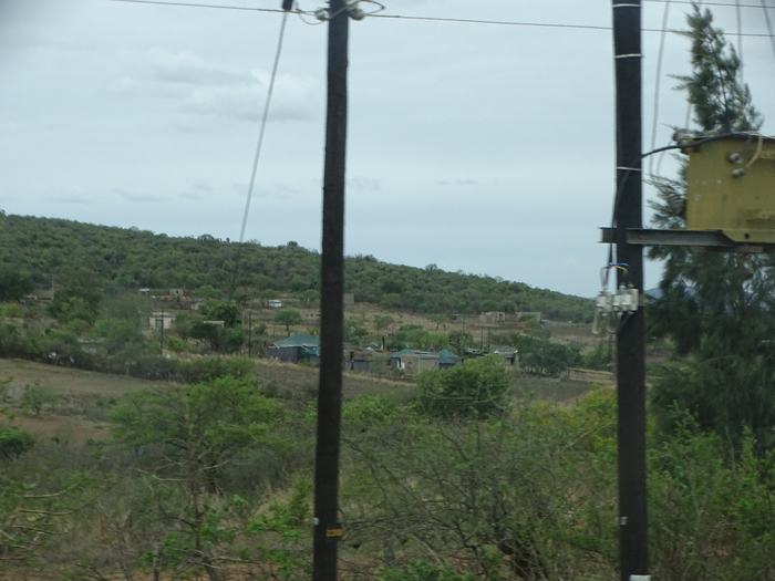 DSC00999 (700x525, 332Kb)