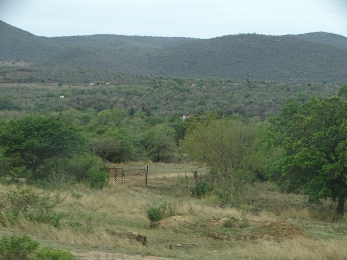 DSC01004 (700x525, 347Kb)