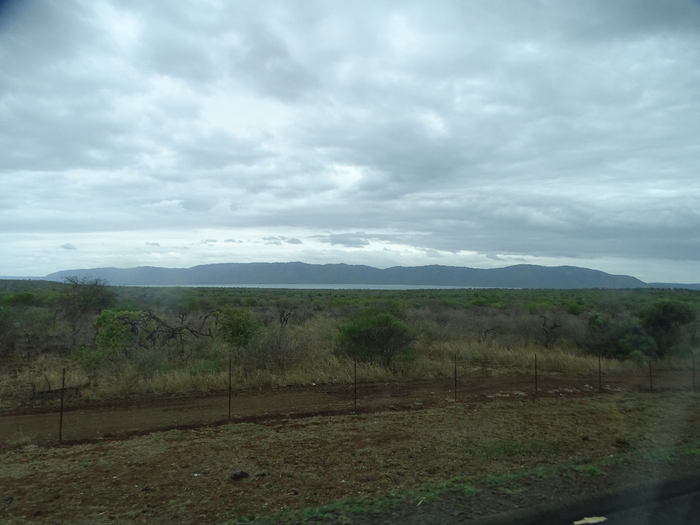 DSC01019 (700x525, 294Kb)